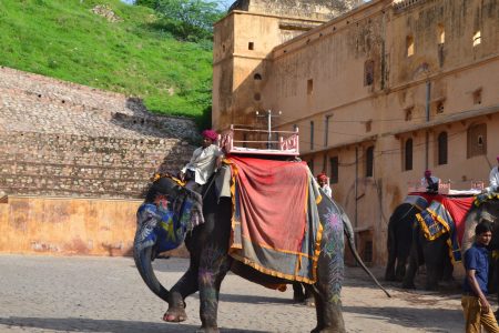Les secrets du Rajasthan